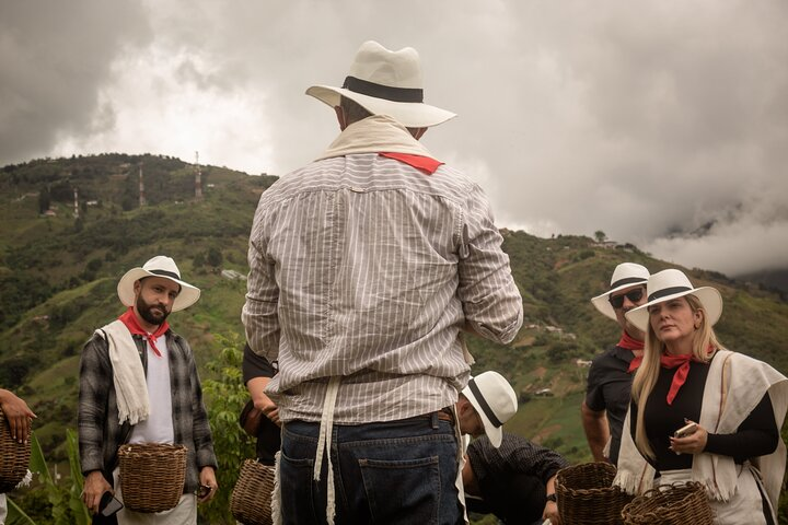 BEST COFFEE TOUR FROM MEDELLIN
ULTRA TOURS MEDELLIN