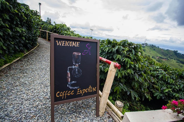 Coffee Farm Experience at Hacienda San Alberto from Salento - Photo 1 of 10