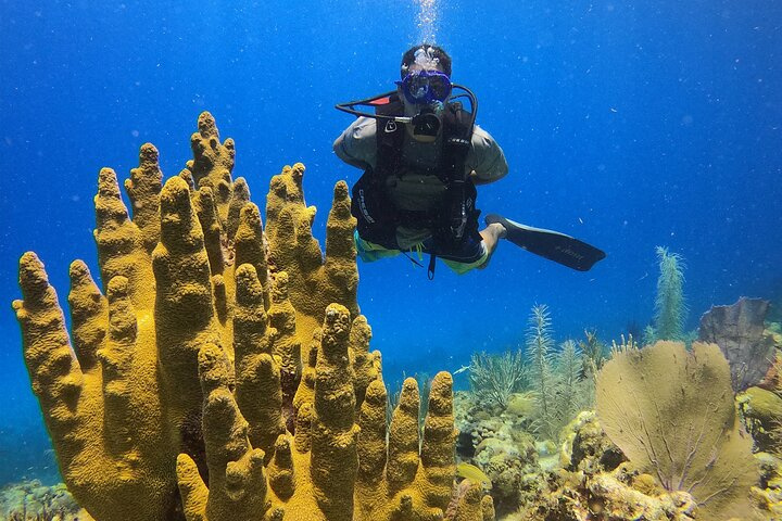 Diving experience in San Andres - Photo 1 of 7