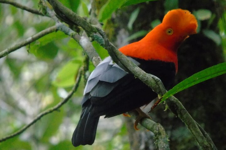 Endemic Birds Tour in Salento - Photo 1 of 7