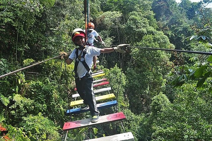 Extreme sports - macadamia forest adventure - Photo 1 of 6