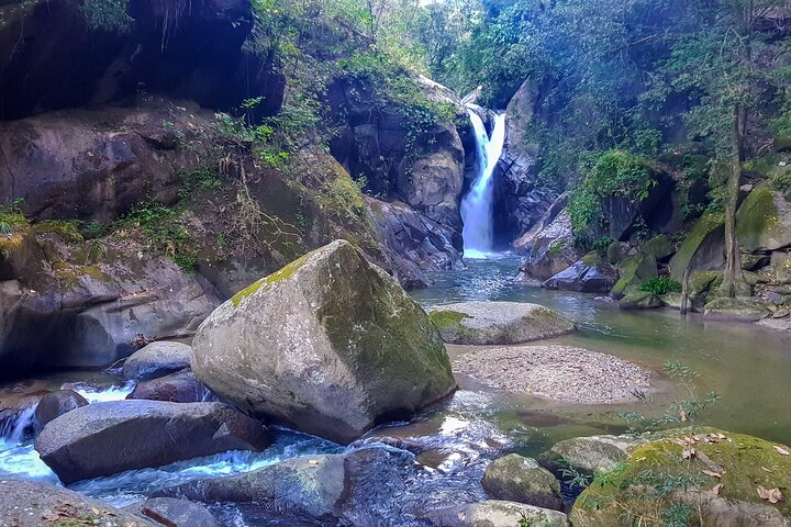 Full-Day Hiking Tour in Minca with coffee & Cocoa Workshop - Photo 1 of 10