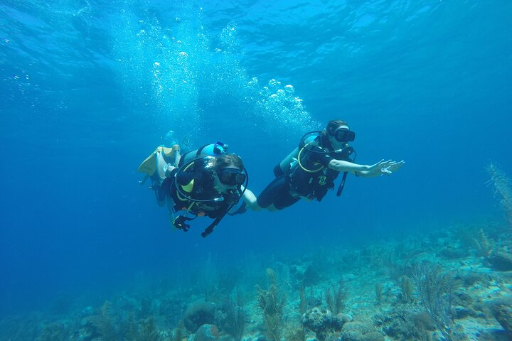 Half-Day Dive Tour in San Andres Island (CERTIFIED DIVERS ONLY) - Photo 1 of 7