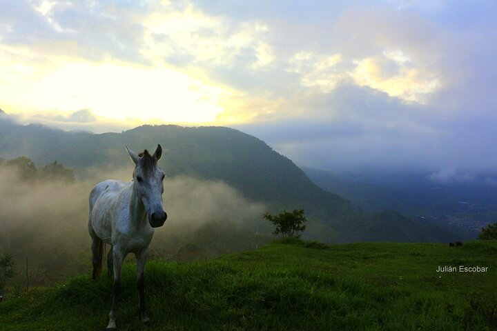 Horse riding tour - Photo 1 of 4