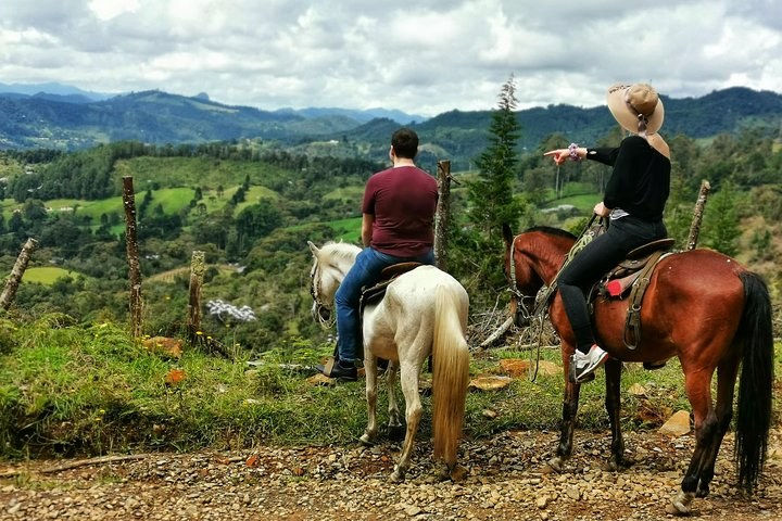 Horseback Riding in Medellin: Private Tour - Photo 1 of 6