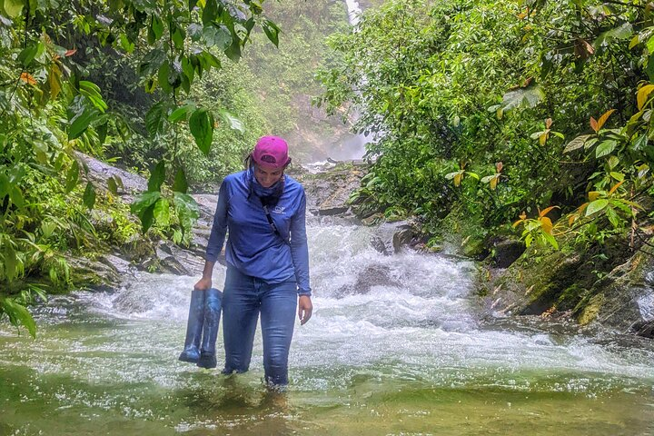 Path Of Waterfalls