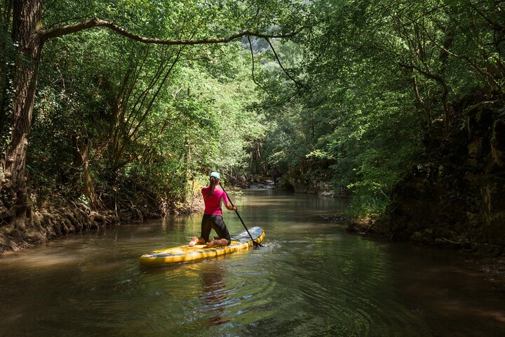 Paddle Board Adventure in Palomino River Tour  - Photo 1 of 6