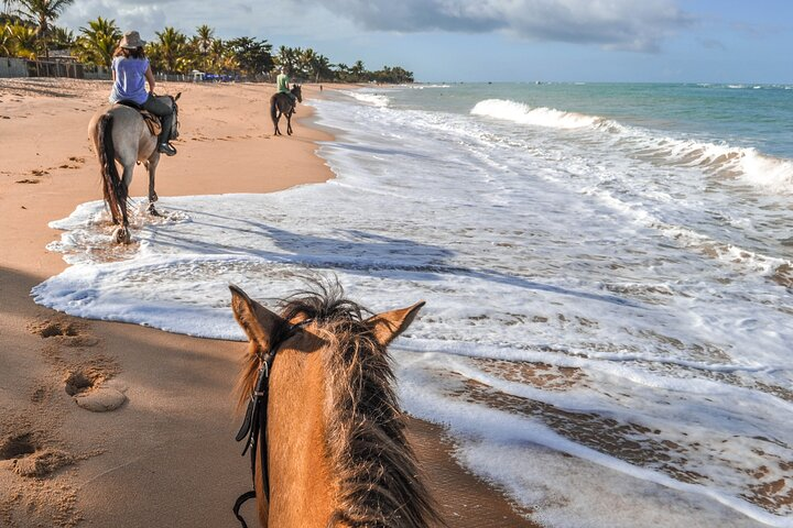 Palomino Horseback Riding Tour - Photo 1 of 6