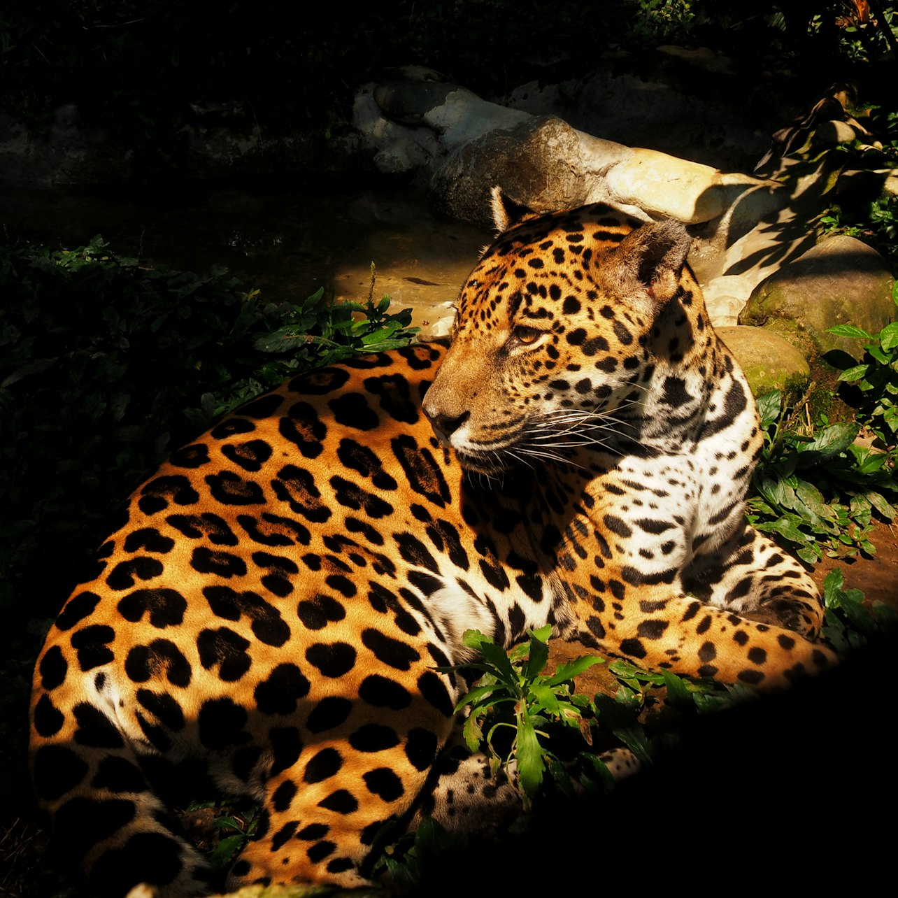 Parque de la Conservación Medellín: Skip The Line - Photo 1 of 9