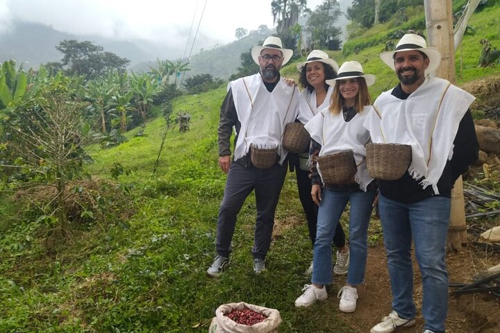 Ready for the harvest in Jardin Antioquia