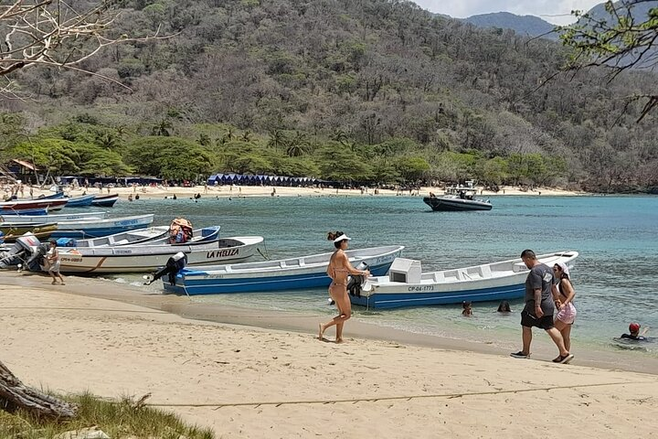 Shell Bay Tour - Photo 1 of 3