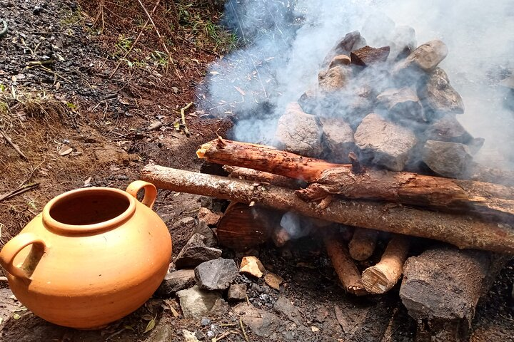 Therapeutic Temazcal: Harmony and Rebirth in the Forest - Photo 1 of 21