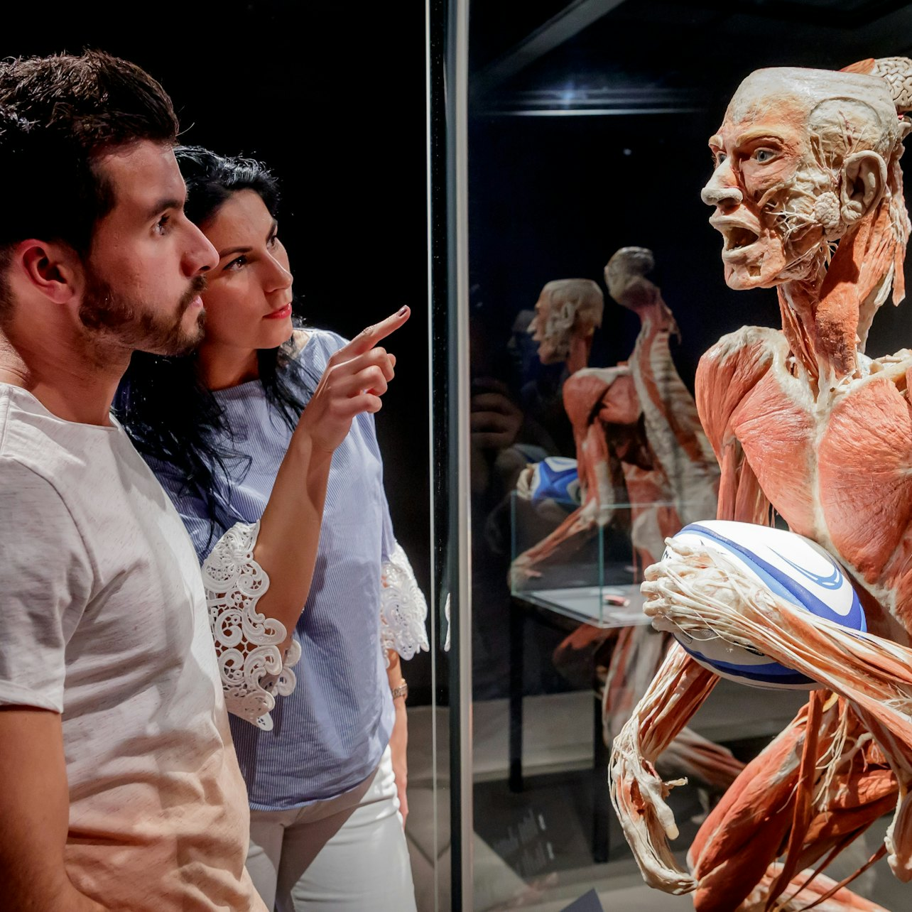 BODY WORLDS Berlin - The First Museum of BODY WORLDS - Photo 1 of 5