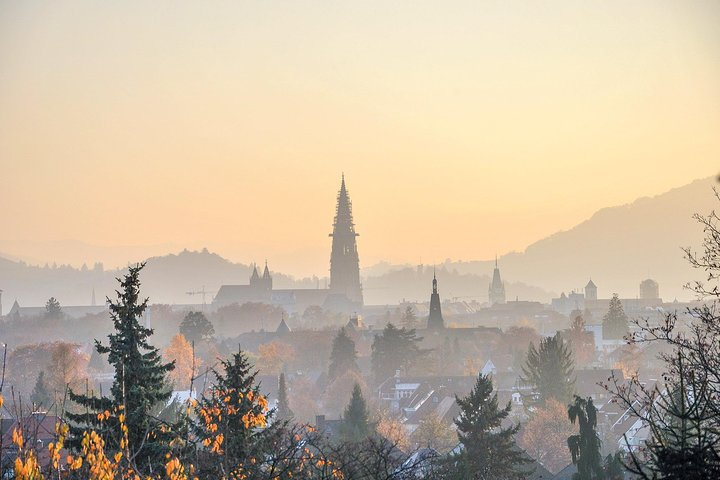 Discover Freiburg’s most Photogenic Spots with a Local - Photo 1 of 6