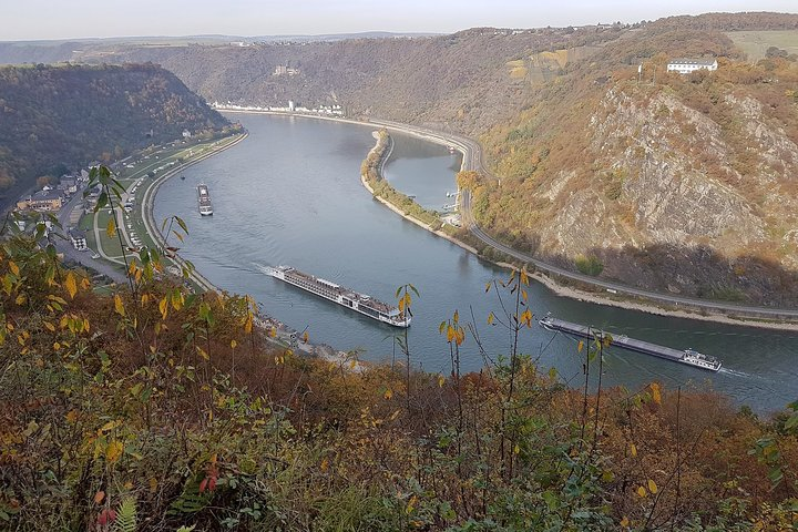  Boat tour alongside Loreley rock