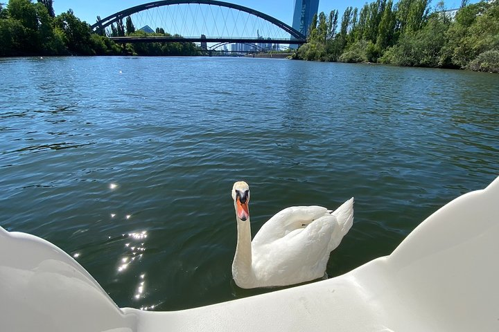 Explore Bird & Marine Wildlife private Boat Tour in English - Photo 1 of 13