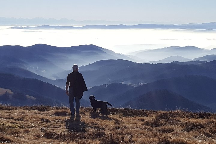 Scenery scnery scenery! On clear days you can even see the Swiss Alps from the Black Forest.