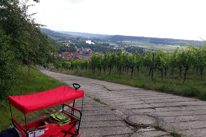 Private mulled wine tour in Würzburg - Photo 1 of 5