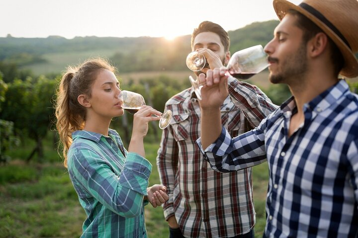 Veni vidi vino - the Freiburg wine hike - Photo 1 of 6