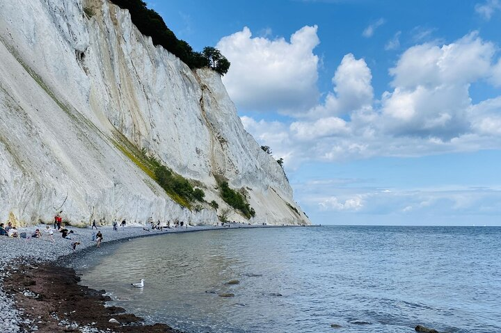 Møns klint and The Forest tower - A day tour from Copenhagen - Photo 1 of 22