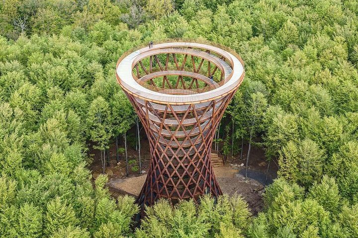 The Forest Tower and Forgotten Giants-A day tour from Copenhagen - Photo 1 of 25