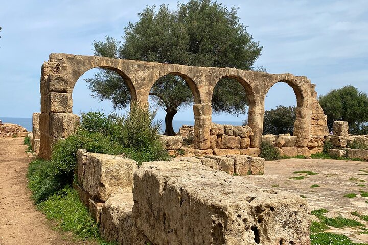 Private Day Tour to the Roman Ruins of Tipaza - Photo 1 of 6