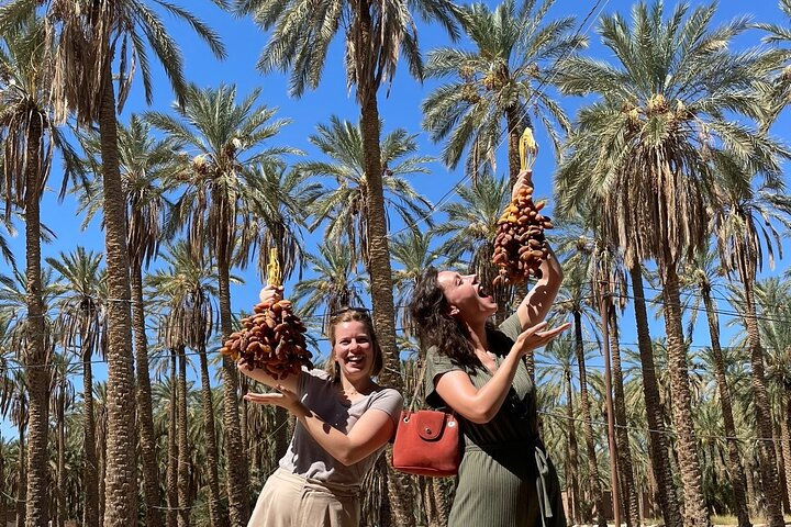 Private two-day tour in Biskra Date Palm Grove - Photo 1 of 5