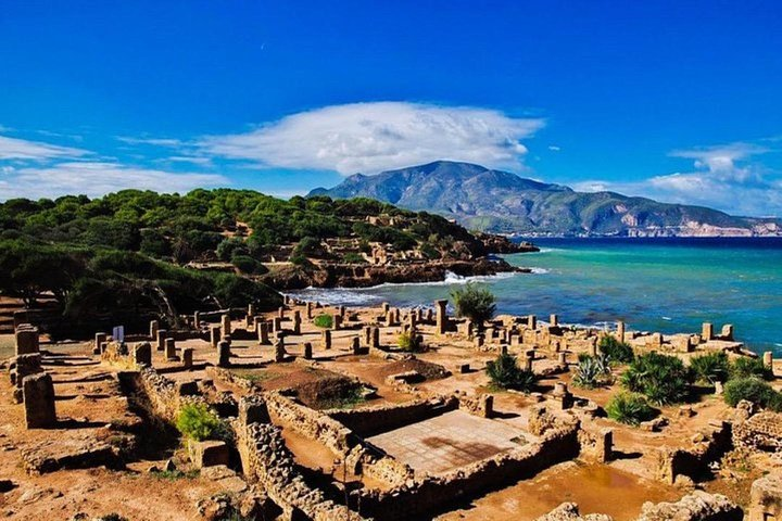 Tipaza