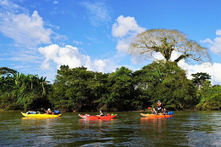 2-Day Kayaking Adventure in the Amazon - Photo 1 of 15