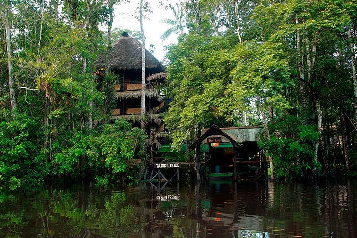 Tapir Lodge in the Ecuadorian Amazon Jungle 