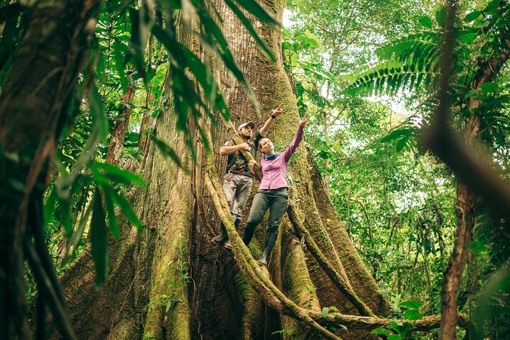 4 Days Cuyabeno Amazon Experience at Waita Lodge - Photo 1 of 13