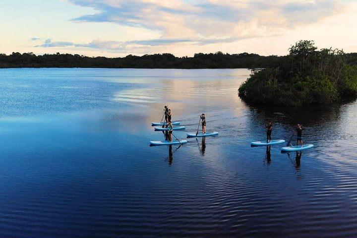 4 Days Paddle Boarding in the Cuyabeno Reserve - Photo 1 of 13