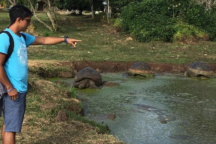 5-Day Galapagos Hotel-based Tour in San Cristobal Island - Photo 1 of 10