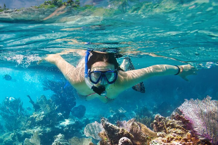 Tourist Snorkeling