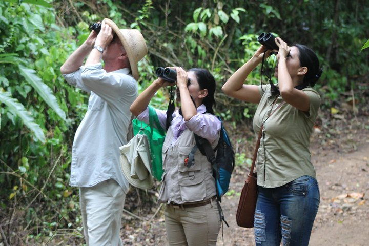 Bird Watching Tours with Sandra Plúa - Manabi, Ecuador - Photo 1 of 6