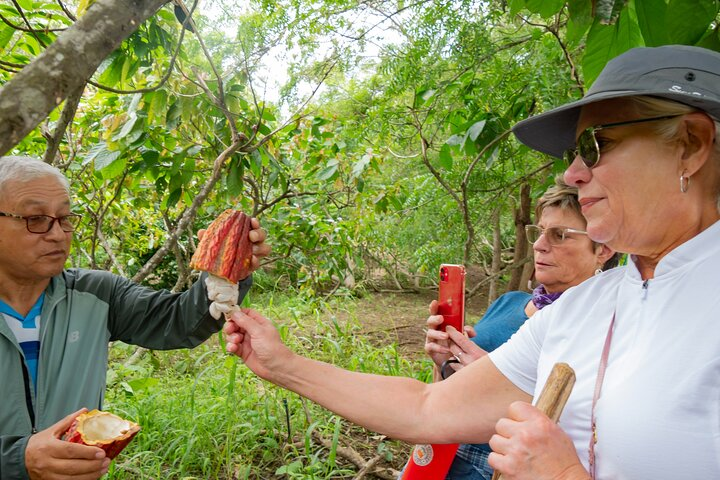 Churute Mangrove Ecological Reserve and Cocoa Farm - Photo 1 of 19