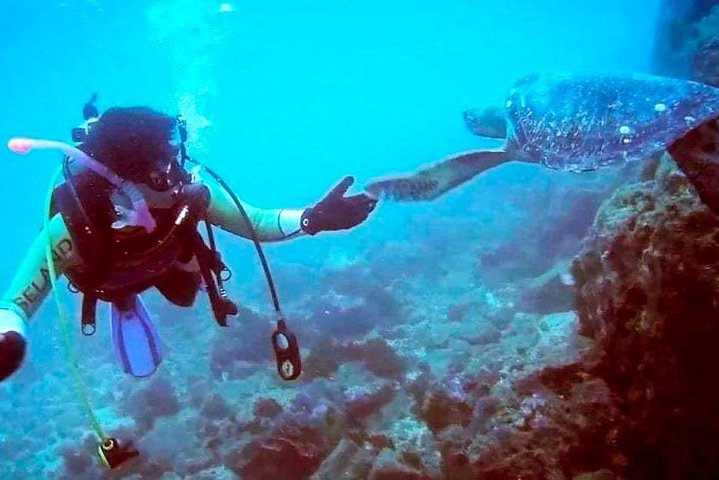 Costa Diving Tour - Machalilla National Park
 - Photo 1 of 6