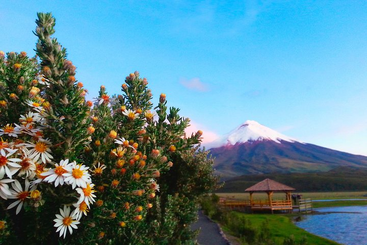 Cotopaxi National Park