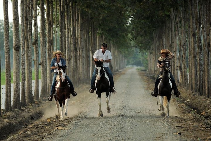 Hacienda La Danesa | Est. 1870