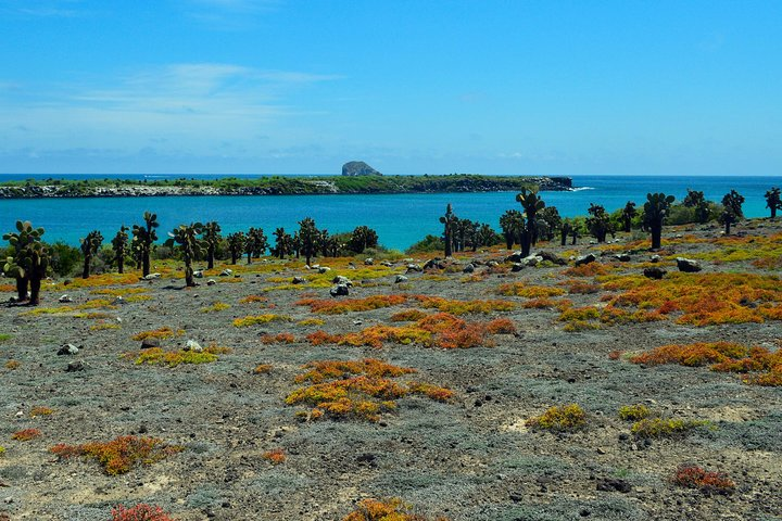 South Plaza Landscape