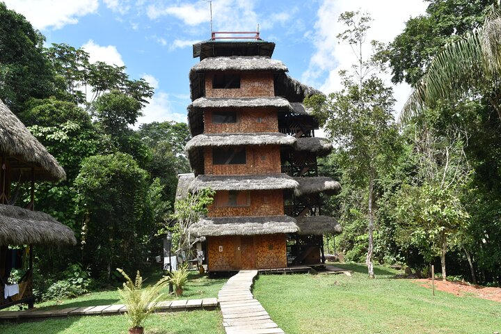 Dive into the Heart of the Wild at Caiman Eco-Lodge Cuyabeno! - Photo 1 of 6