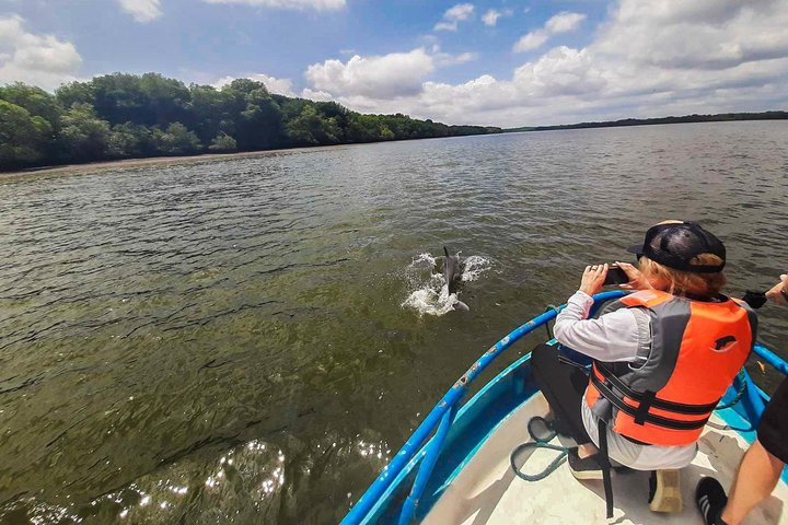 Dolphin Watching Experience in Puerto El Morro from Guayaquil - Photo 1 of 6