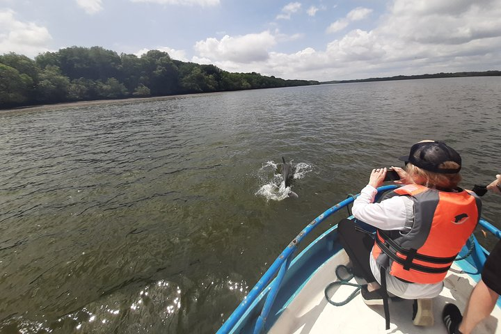 Dolphin Watching in Puerto El Morro from Guayaquil - Photo 1 of 13