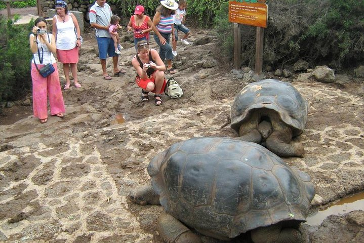 Ecuadorian Experience Guayaquil-Galápagos 8 Days 7 Nights - Photo 1 of 11