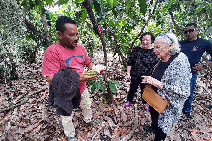 Excursion Day to Cocoa Farm from Guayaquil - Photo 1 of 12