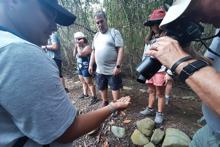 Full day to Ecological Reserve Churute Mangrove and Cocoa Farm Visit - Photo 1 of 21