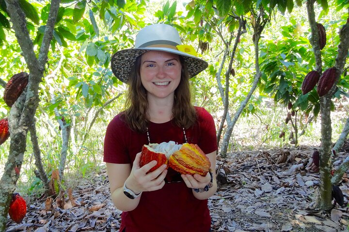 Cacao plantation tours offer a detailed insight into the cultivation and transformation process of cacao, from an artisanal perspective.