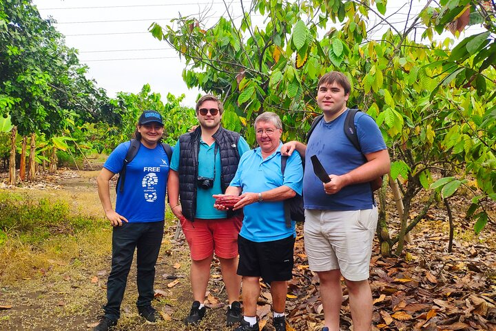 Half day tour in Cacao farm