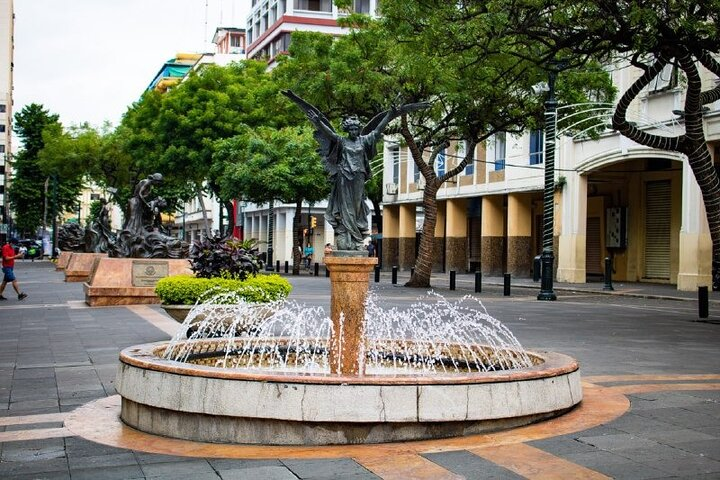 Half Day Walking Tour of Guayaquil Pearl of the Pacific - Photo 1 of 19