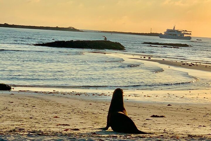 Isabela Island Tour in Galapagos with Kayak and Snorkeling - Photo 1 of 2